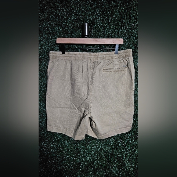 PacSun Tan Flat Front Shorts - Picture 3 of 4